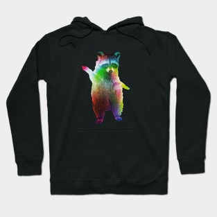 Rainbow Raccoon Hoodie